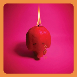 Aracade Fire - Pink Elephant | CD