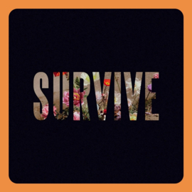 Lewis Capaldi - Survive | 12" Single (Coloured Vinyl)