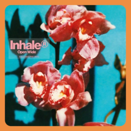 Inhaler - Open Wide (Indies-Only) | LP (Coloured Vinyl)