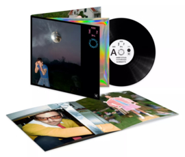 Harry Styles - Kiss All The Time. Disco, Occasionally. | LP