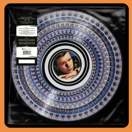 Rick Astley - Never Gonna Give You Up | 12" Single (Zoetrope)
