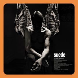 Suede - Antidepressants | LP
