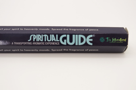Padmini Spiritual Guide Blauw