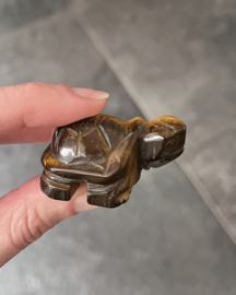 Schildpad tijgeroog