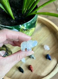 Olifantje opaline