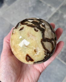 Septarie bol