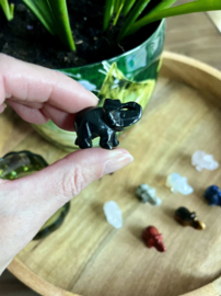 Olifantje onyx