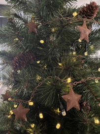 Slinger roest Ster PMR