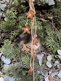 Bedelhanger ster PMR