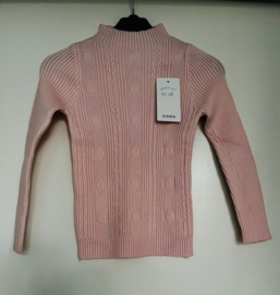 Shirt Rib - Pink