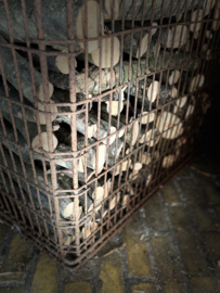 draadmand rechthoek, metalen mand groot