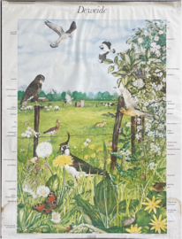 oude schoolplaat natuur