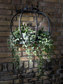 planten hanger