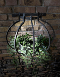 planten hanger