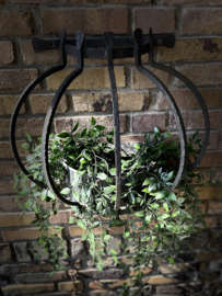 planten hanger
