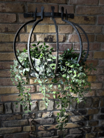 planten hanger
