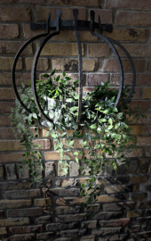 planten hanger