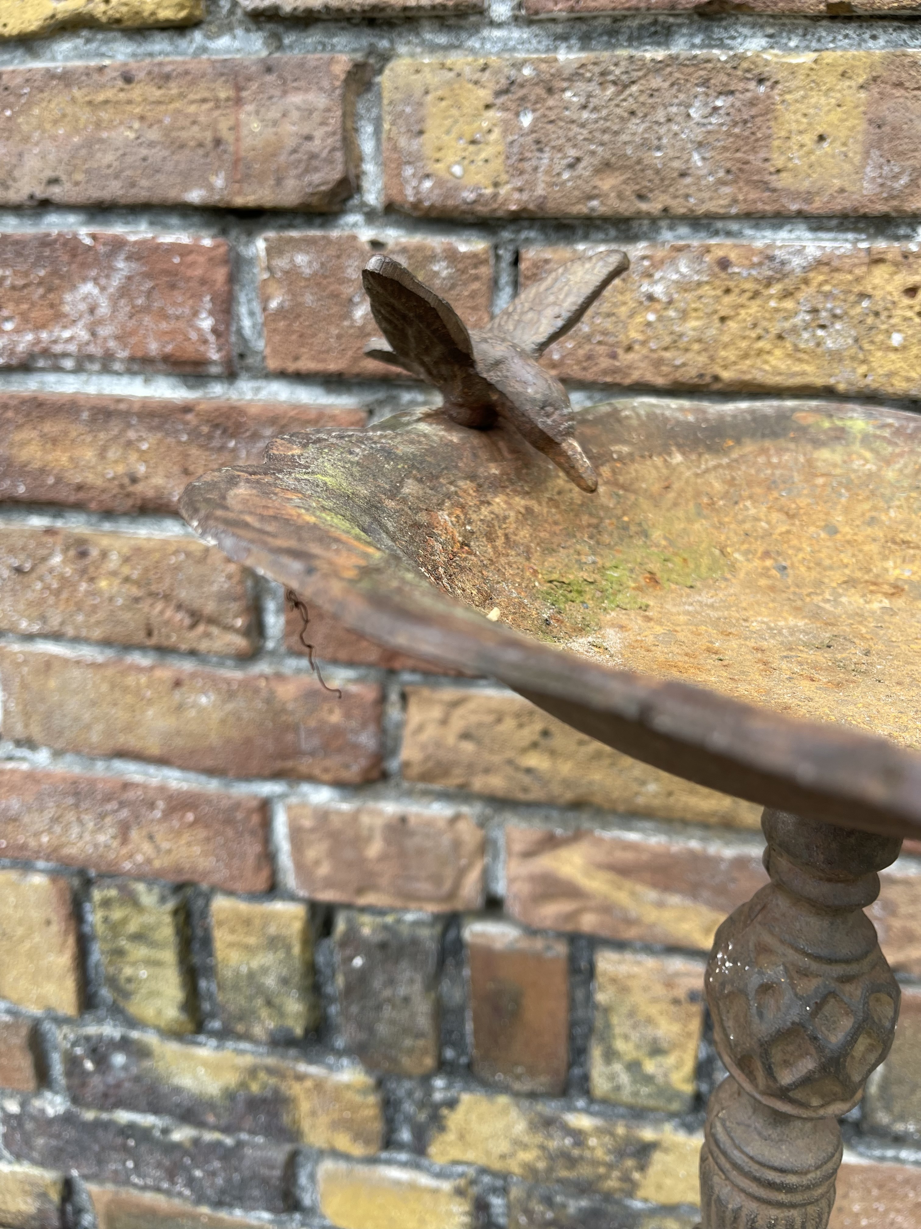 vogelbadje hoog