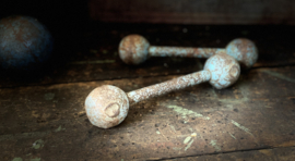 metalen gewichten, dumbbells