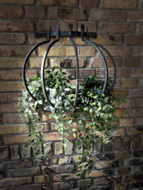 planten hanger