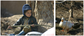 F-URUZ22 Afghan boy 3, Duck security.