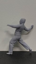 F-RCV02 Stone thrower