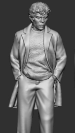 F-RCV17 Looking from a distance