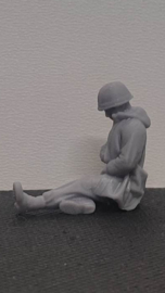 F-alk32 Argentine wounded 2