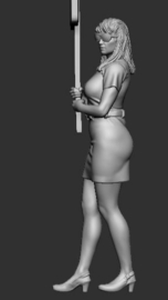 F-RCV09 Protest met bord