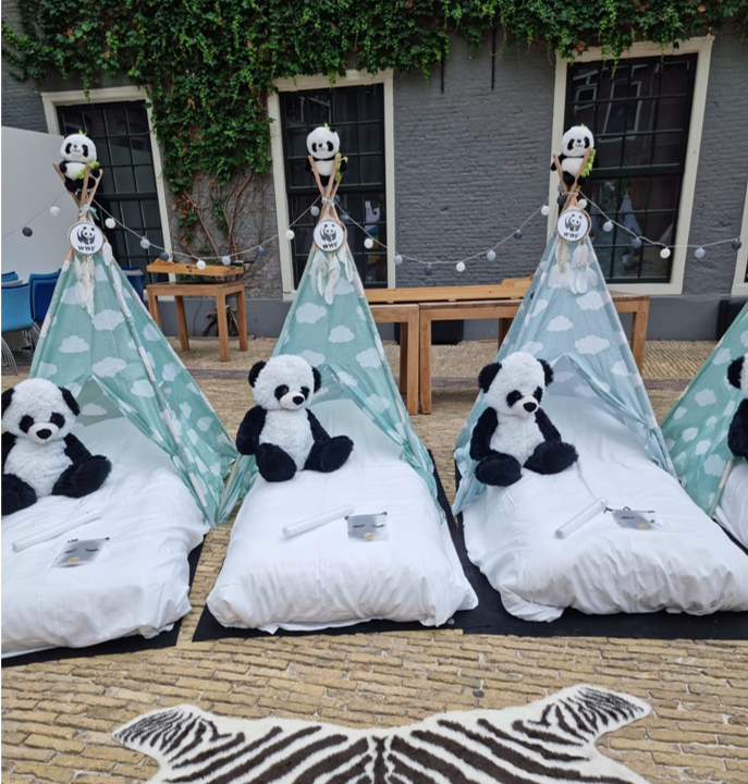 Panda Party WNF