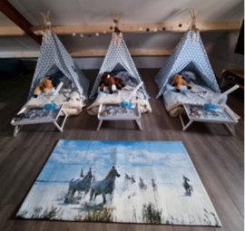 -- IEDER THEMA -- OntzorgpakketDeLuxe: Bezorgen, opzetten, + accessoires, luxe snoepbuffet