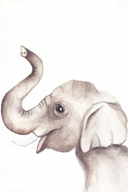 Wenskaart Olifant