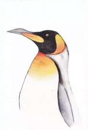 Wenskaart Pinguïn