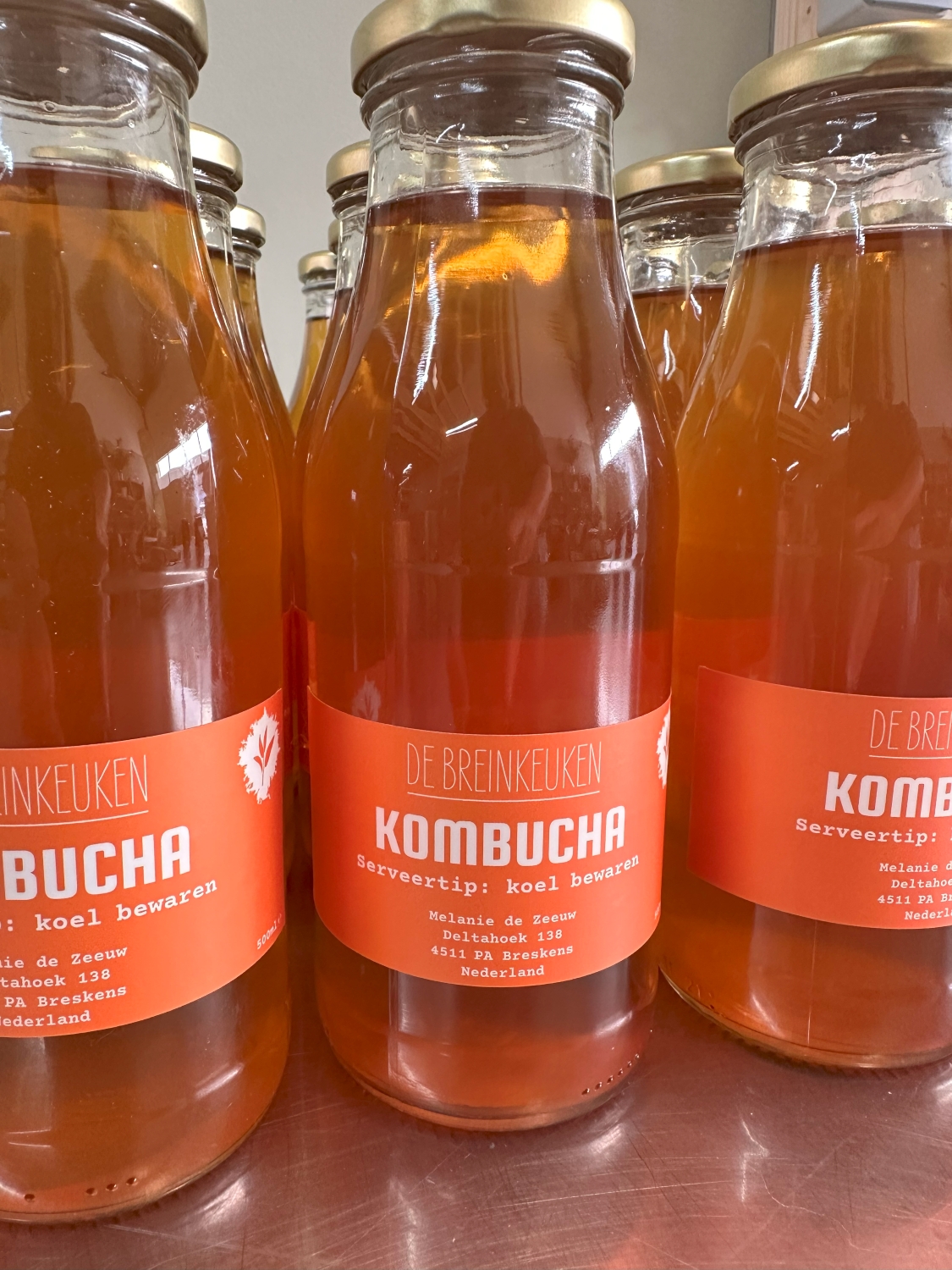 Kombucha 500ml