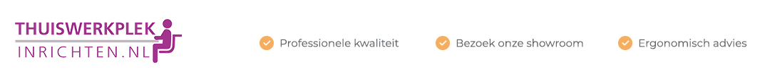 thuiswerkplek-inrichten.nl