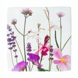 BLOEMEN TEGELTJE TUINBLOEMEN