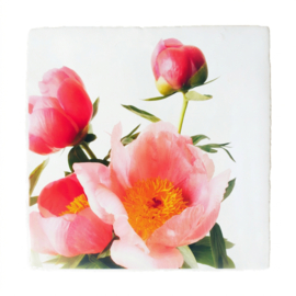 BLOEMEN TEGELTJE PIOENROZEN