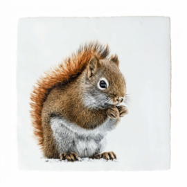 DIEREN TEGELTJE EEKHOORNTJE (2)