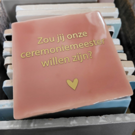 TEGELTJE MET EIGEN TEKST/QUOTE (VINYL)