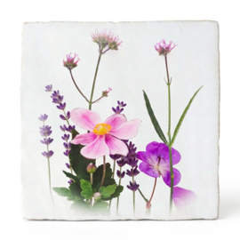 BLOEMEN TEGELTJE TUINBLOEMEN (V2)