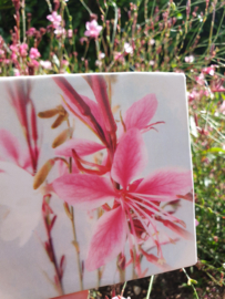 GAURA