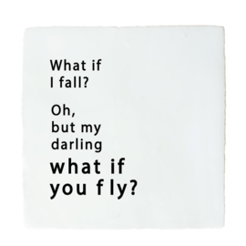 WHAT IF YOU FLY