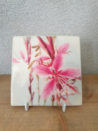 GAURA