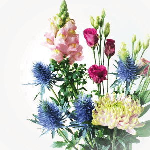 PARELMOER KAARTJE BLOEMEN