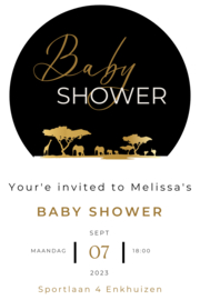Babyshower pakketten