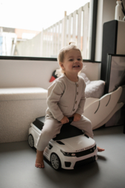 Noah grijs