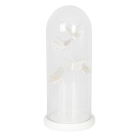 Stolp Butterfly