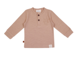 Shirt shell biscuit