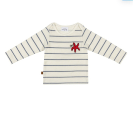 Shirt stripes