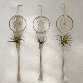 Airplant Hanger(s) €26,50 pp / €32 pp